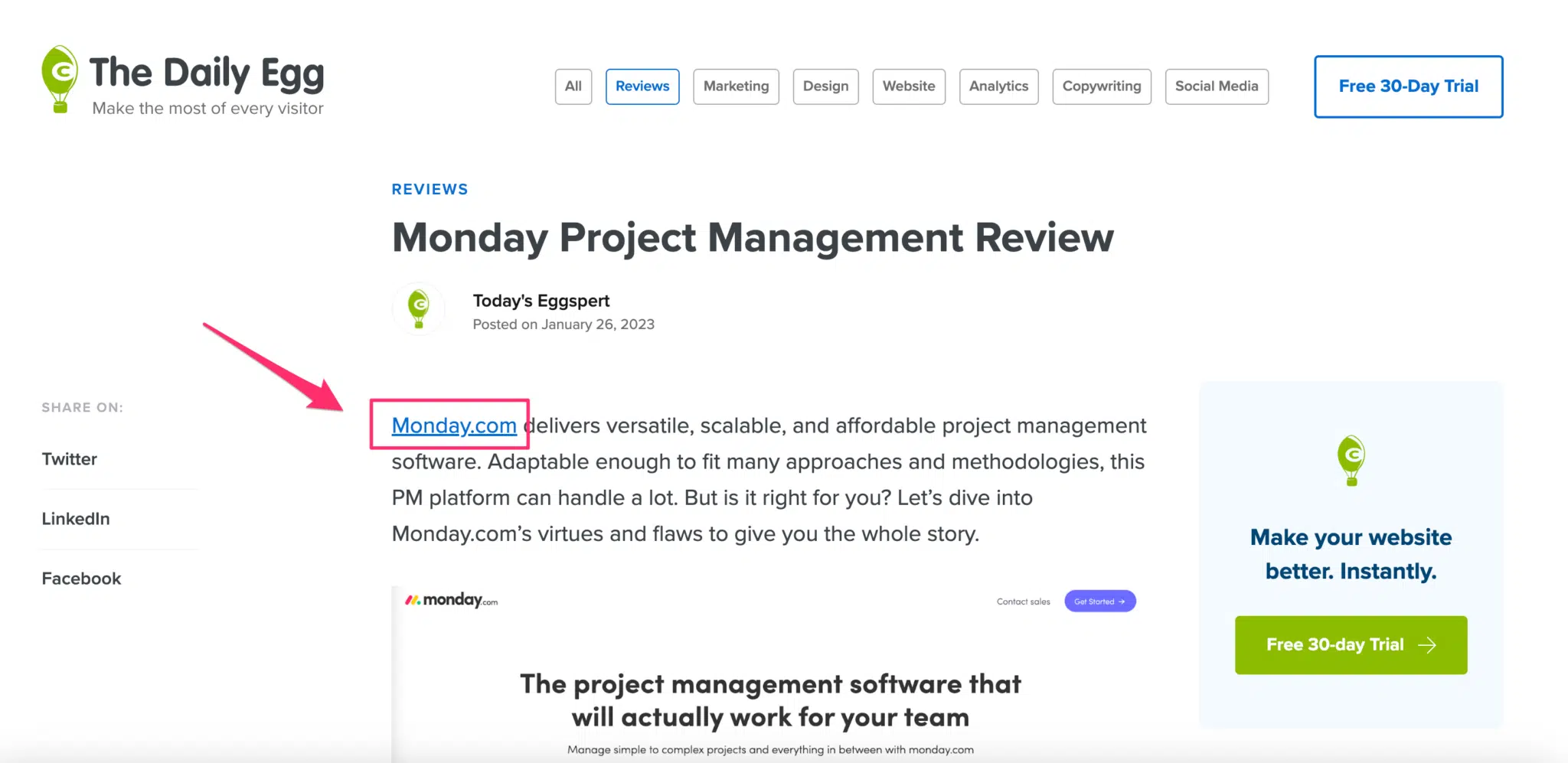 Monday.com project management review on The Daily Egg